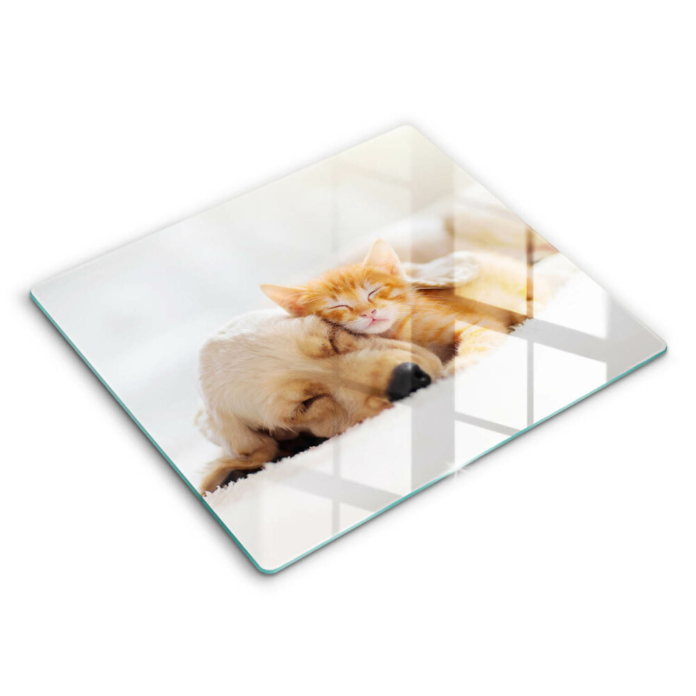 Skleněné krájecí prkénko 60x52 cm Zvířata pes a kočka