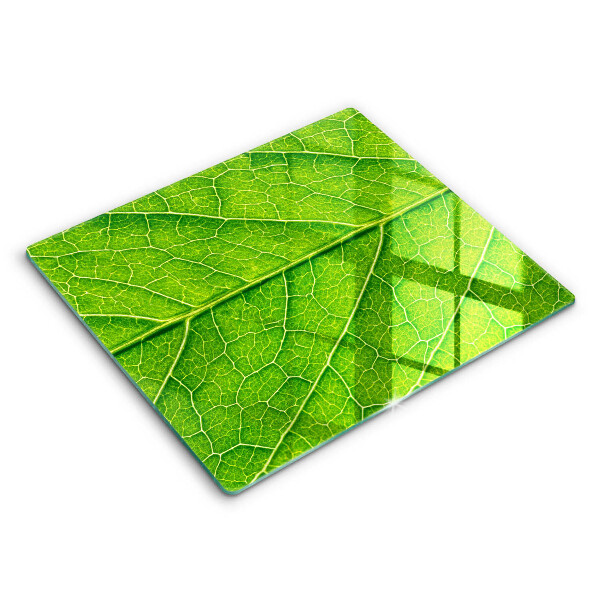 Krájecí prkénko skleněné 60x52 cm Žilkovaný list příroda