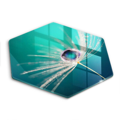 Skleněná deska do kuchyně Rosa na mouše