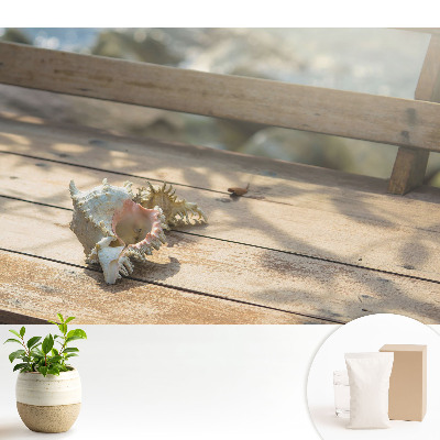 Tapeta s motivem mušlí na dřevěné lavici