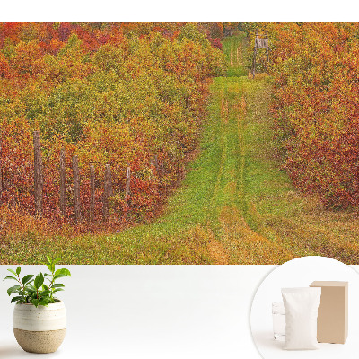 Samolepící tapeta s motivem podzimní cesty mezi barevnými stromy