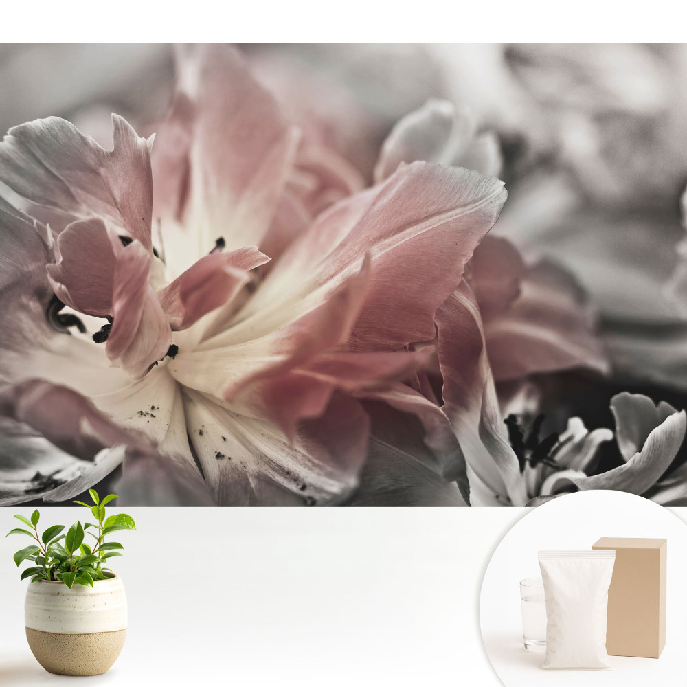 Tapeta s detailem jemných okvětních lístků