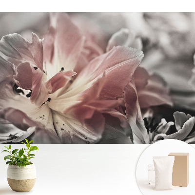 Tapeta s detailem jemných okvětních lístků