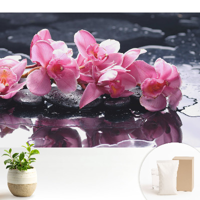 Tapeta Růžové orchideje na kamenech