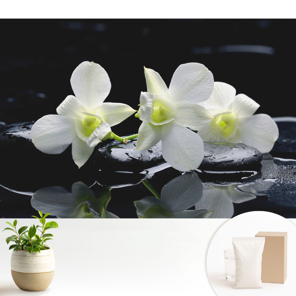 Tapeta na zeď s motivem bílých orchidejí na kamenech