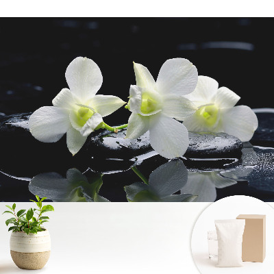 Tapeta na zeď s motivem bílých orchidejí na kamenech