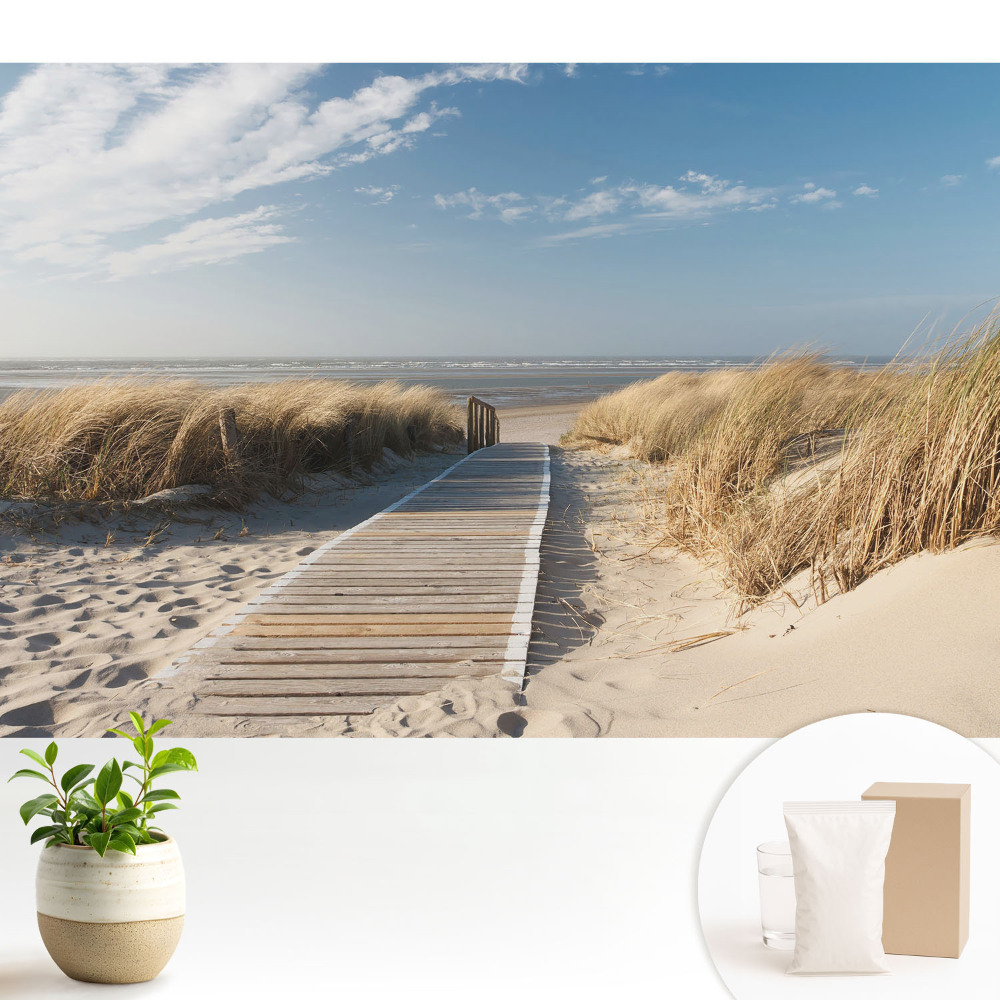Tapeta na zeď s motivem přímořské cesty mezi dunami