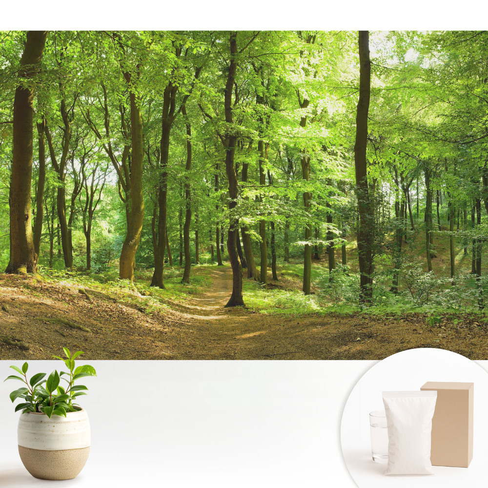 Tapeta s motivem čerstvého zeleného lesa