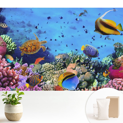 Tapeta na zeď Podvodní svět plný barev