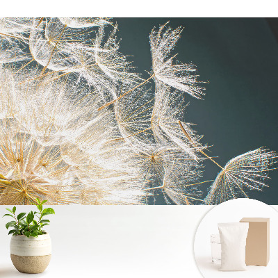 Tapeta na zeď Éterická semínka křehké pampelišky