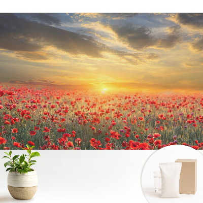 Tapeta do obyvaku Ranní pole maků, úchvatný západ slunce
