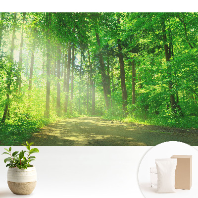 Tapeta se vzorem zeleného lesa a slunečními motivy