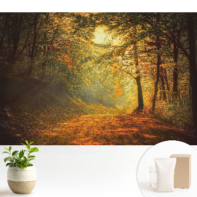 Tapeta do obyvaku Kouzlo podzimního lesa