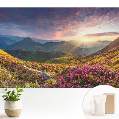 Tapeta na zeď s motivem horské krajiny zalité sluncem