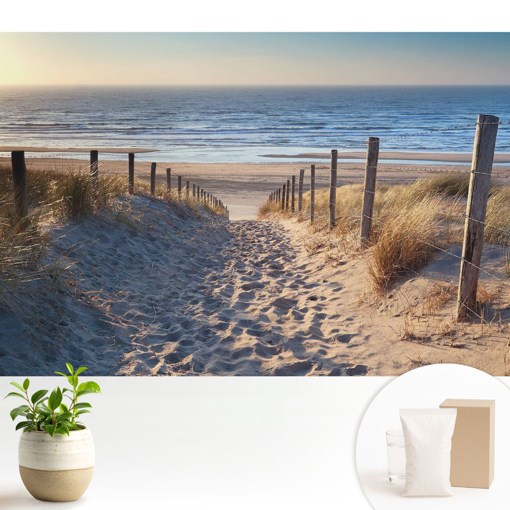Tapeta s motivem cesty přes duny k moři