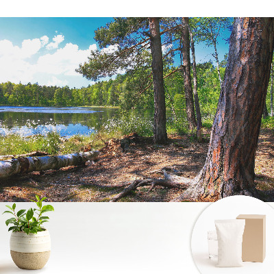 Samolepící tapeta Lesní krajina u jezera, přírodní klid