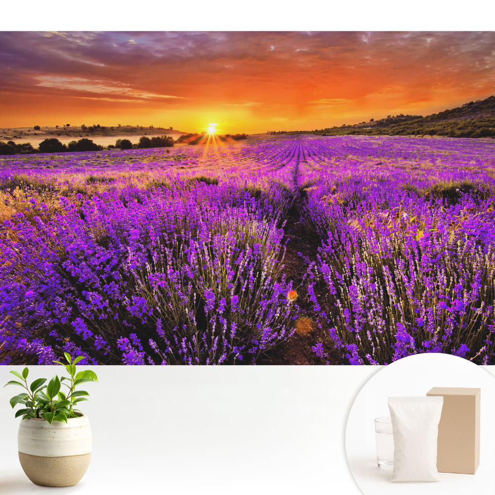 Samolepící tapeta se motivem západu slunce na levandulových polích