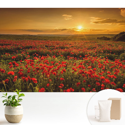 Tapeta Západ slunce v poli makových květů