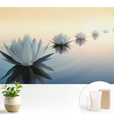 Tapeta na zeď Lotosy na vodě