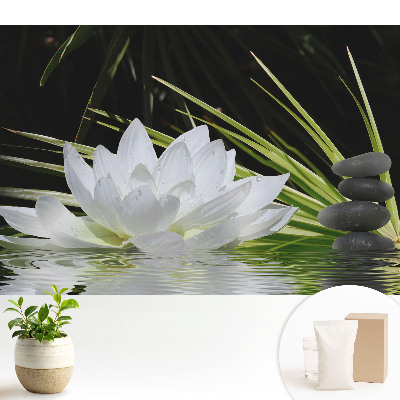 Samolepící tapeta Meditace s bílými liliovými kameny