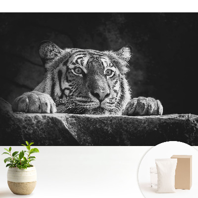 Samolepící tapeta Tygr v černé a bílé