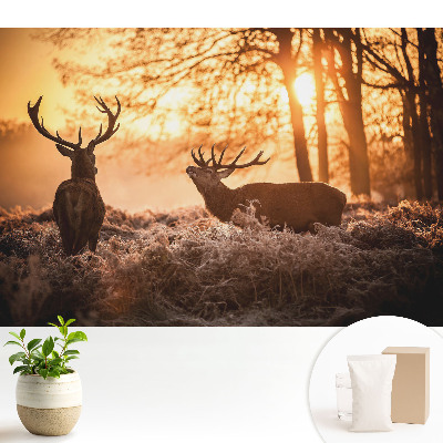 Tapeta na zeď s motivem podzimního jelena při východu slunce