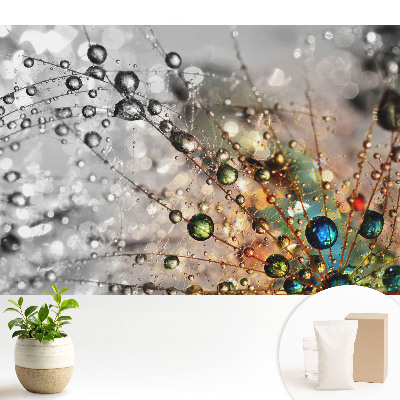 Tapeta na zeď Barvy kapek na pavučině