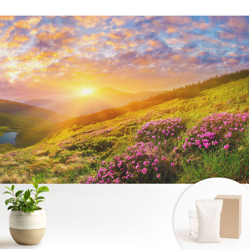 Tapeta na zeď s motivem květin v horách při západu slunce
