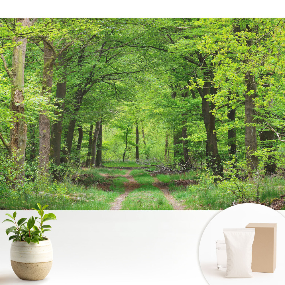 Samolepící tapeta s motivem harmonické scenérie zeleného lesa