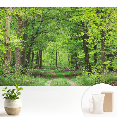 Samolepící tapeta Harmonická scenérie zeleného lesa