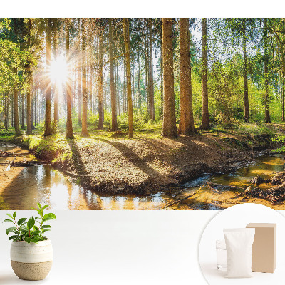 Tapeta na zeď Zářivé slunce v lesní krajině