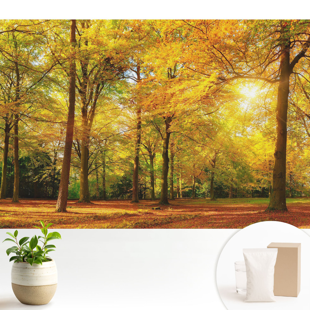 Samolepící tapeta s motivem podzimního panoramatu lesa plného barevného listí