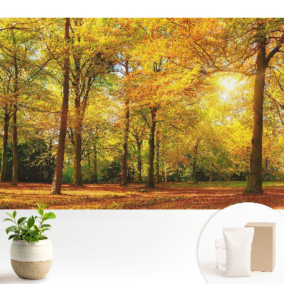 Samolepící tapeta Podzimní panorama lesa plného barevného listí