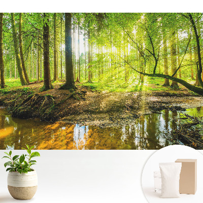 Tapeta Lesní klid, světlo, potok