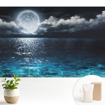 Tapeta Harmonie vody a nebe v měsíční krajině