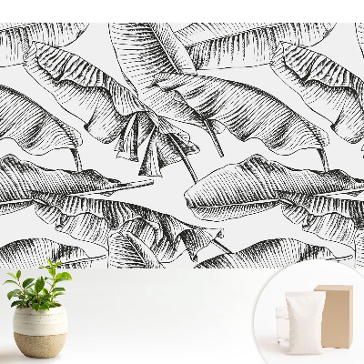 Tapeta na zeď Klasické banánové listy