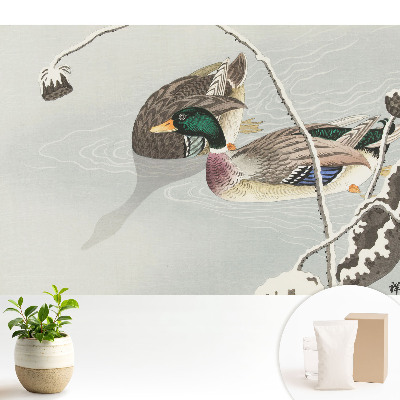 Tapeta na zeď s motivem dvou kachen na vodě v klasickém stylu