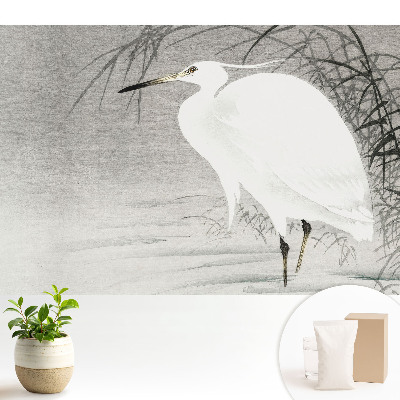 Tapeta Volavka na pozadí rákosí