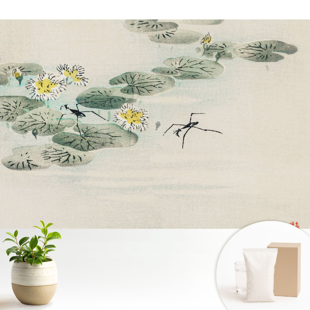 Tapeta na zeď s motivem leknínů a voděodolnou úpravou