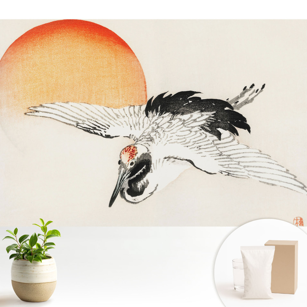 Tapeta na zeď s jemným motivem ptáka v letu