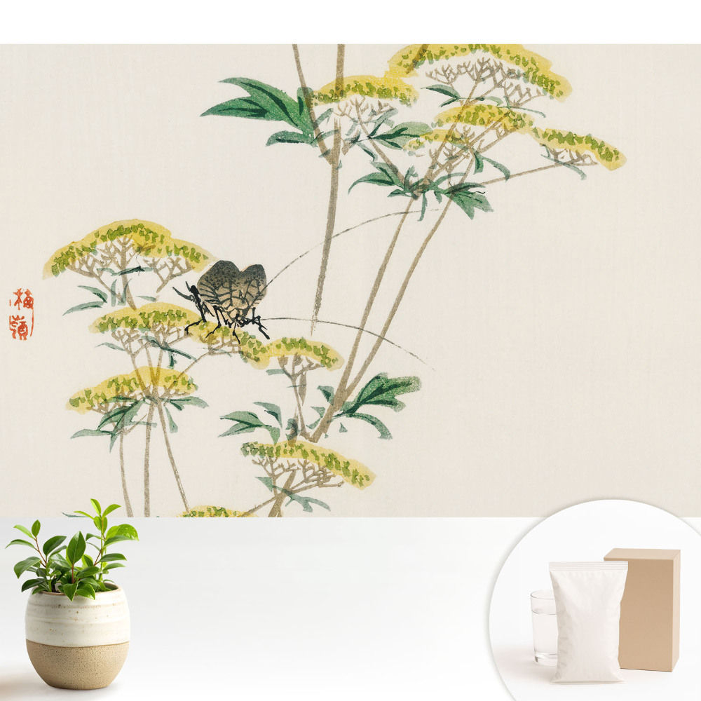 Tapeta s motivem jemných květin a hmyzu vyjadřující harmonii přírody