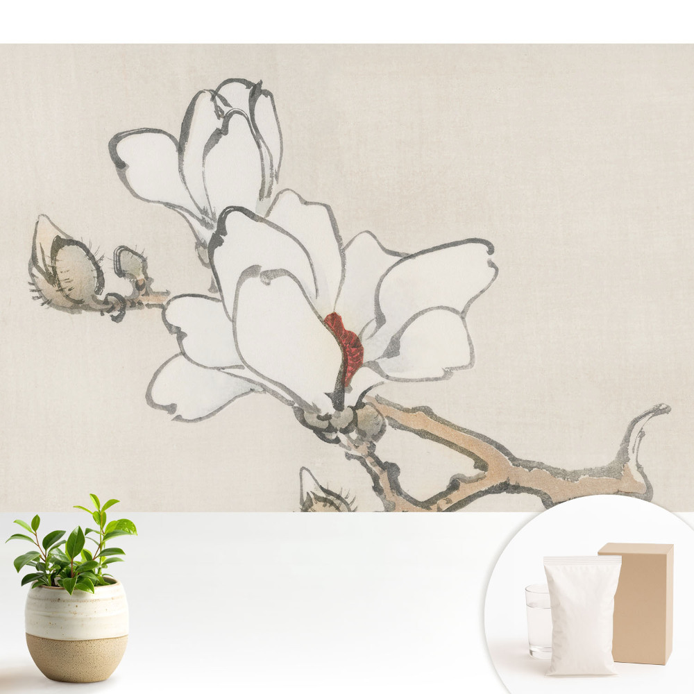 Tapeta na zeď Klasické magnólie v inkoustu
