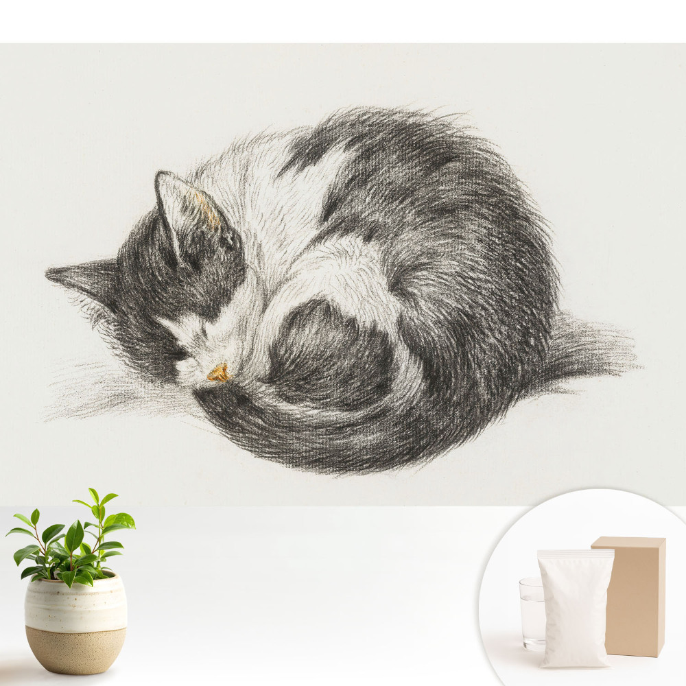 Tapeta do obývacího pokoje s motivem spícího kotěte v centrální ilustraci