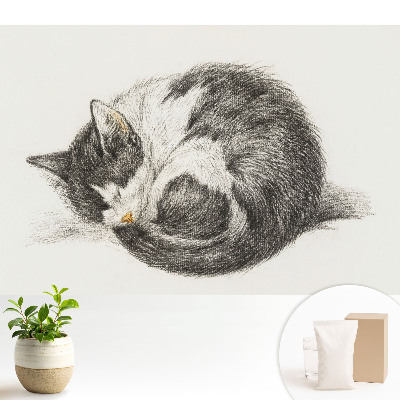 Tapeta do obyvaku Spící kotě centrální ilustrace
