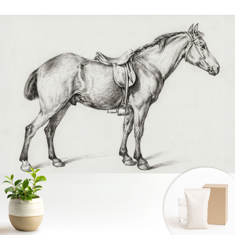 Tapeta s realistickým motivem koně se sedlem