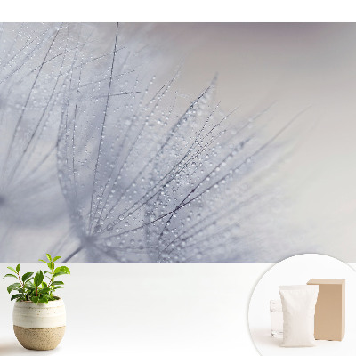 Tapeta na zeď Makro kapiček na vláknech pampelišky