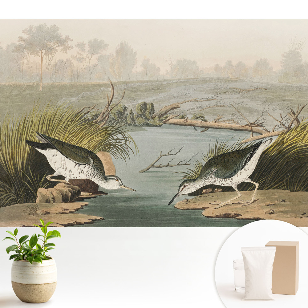 Samolepící tapeta s motivem ptáků u jezera evokující harmonii přírody