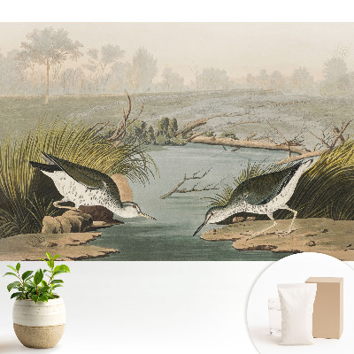 Samolepící tapeta Ptáci u jezera, harmonie přírody