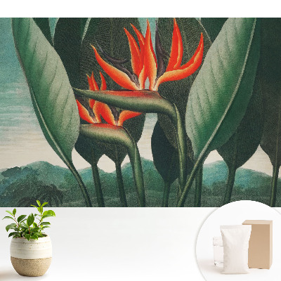 Tapeta s motivem exotických rostlin na zeleném pozadí