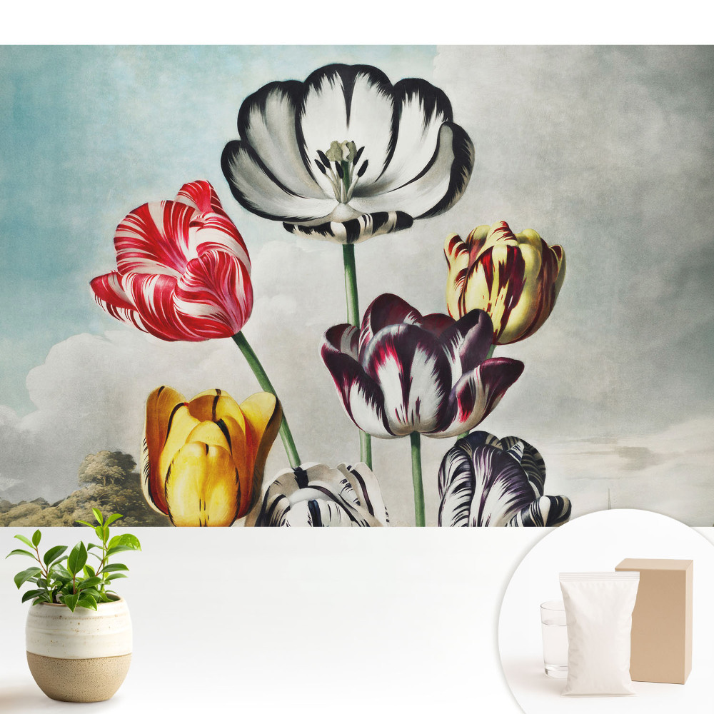 Samolepící tapeta Kytice tulipánů v klasickém provedení